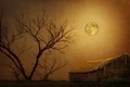 Moonglow over Polenz Ranch