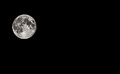 Blue-moon--13DPC
