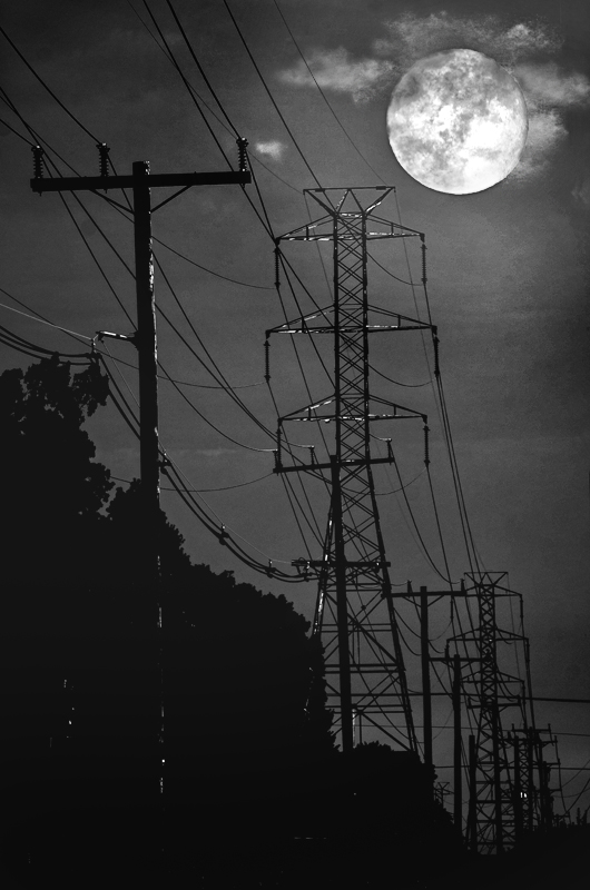 Moonlight in NJ