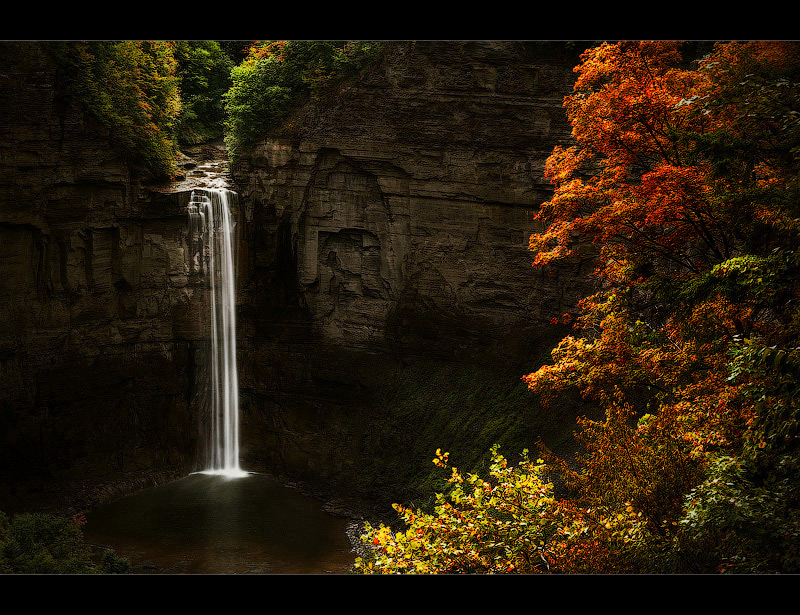 seasons