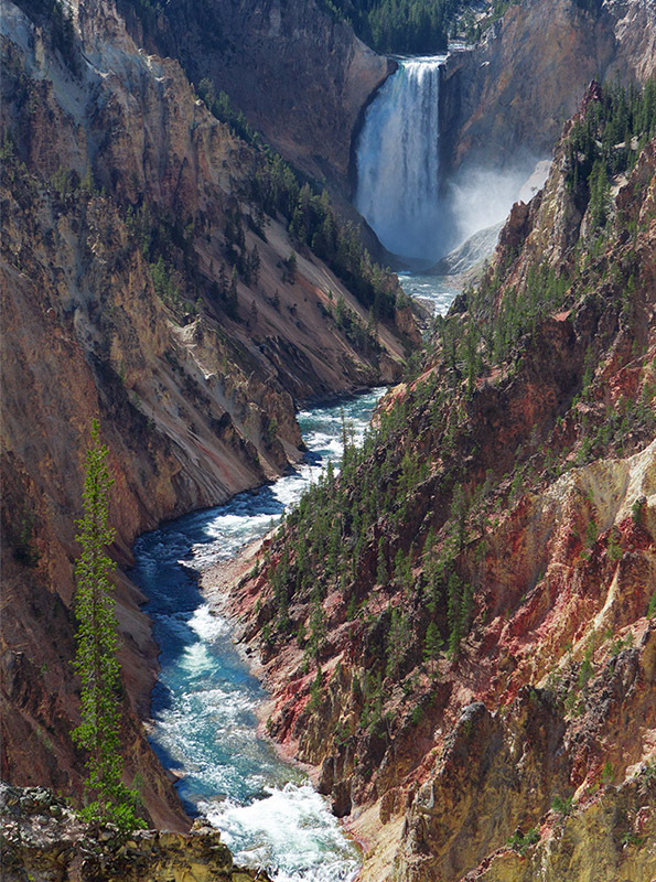 Yellowstone's Lower Falls 