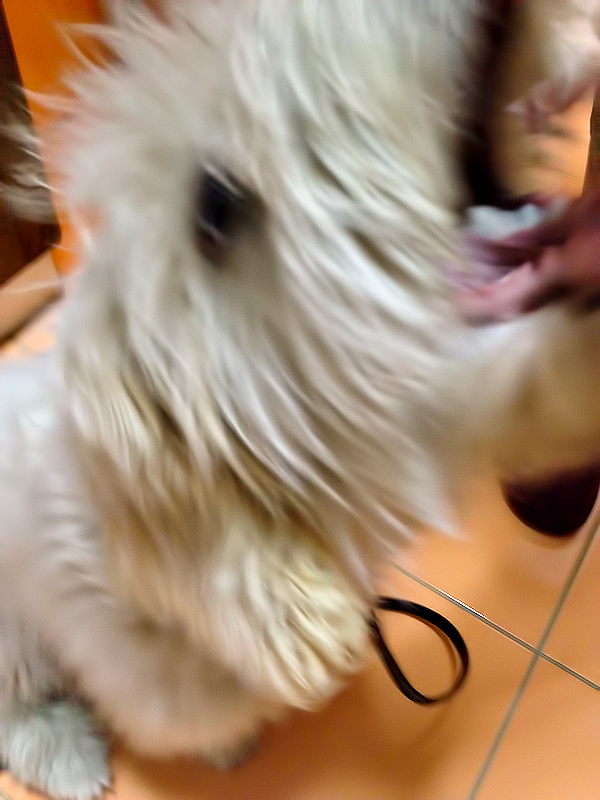 yum