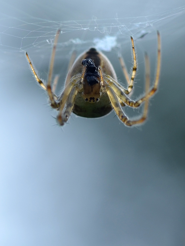 just hanging and eating