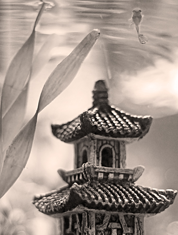Surface tension