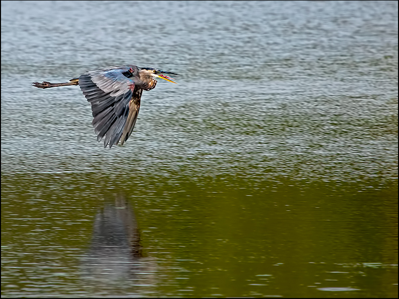 Smooth Sailing
