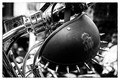 Heavy Metal