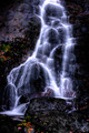 Amicalola