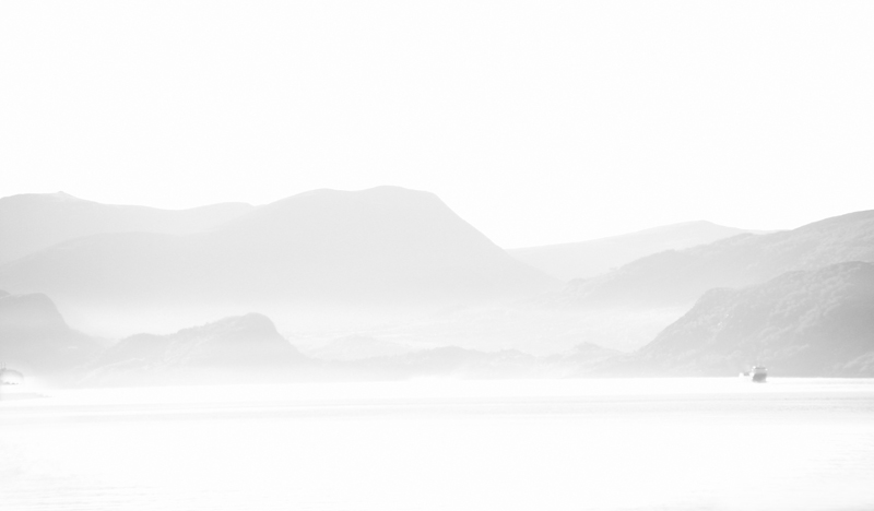 The Fog