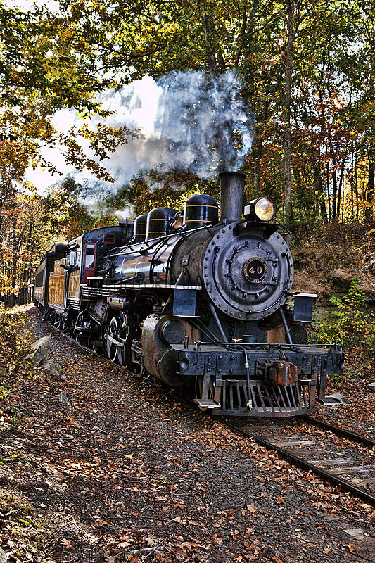 Fall Foliage Train Ride