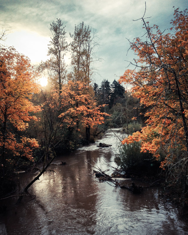 Springwater Corridor Trail