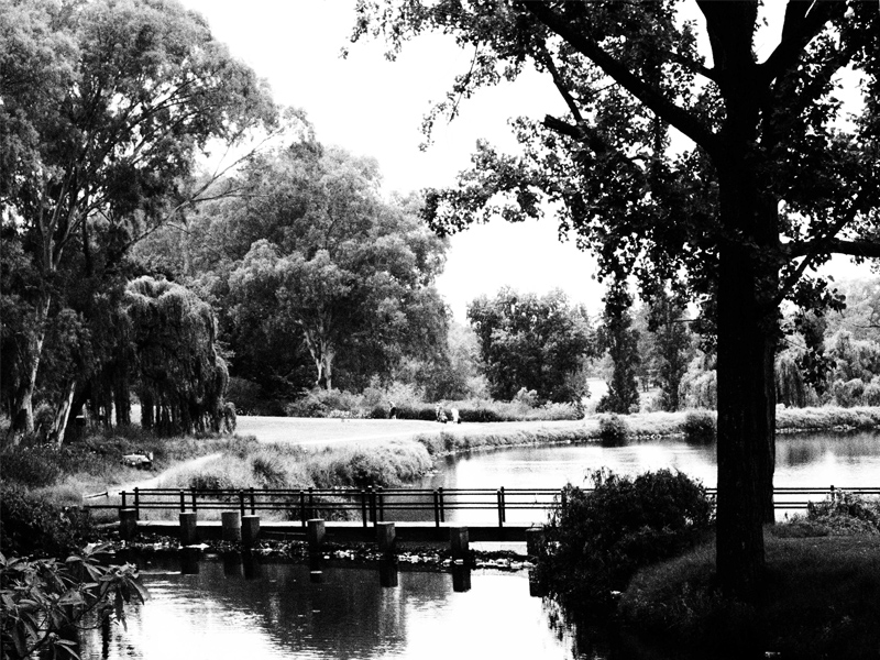 Bridge over untroubled waters