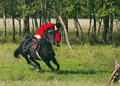 Riding: The art of keeping a horse between you and the ground.