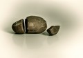 A pet rock is not all it's cracked up to be...
