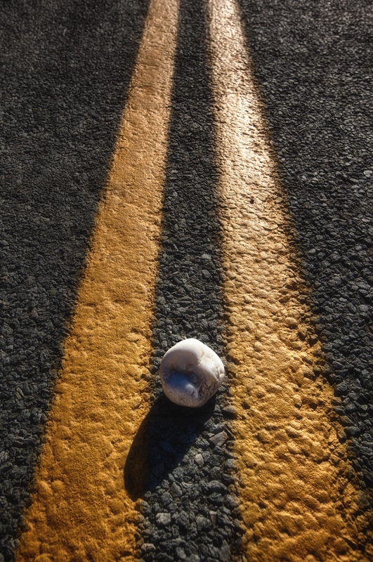 Pet Rock in the Middle of the Road