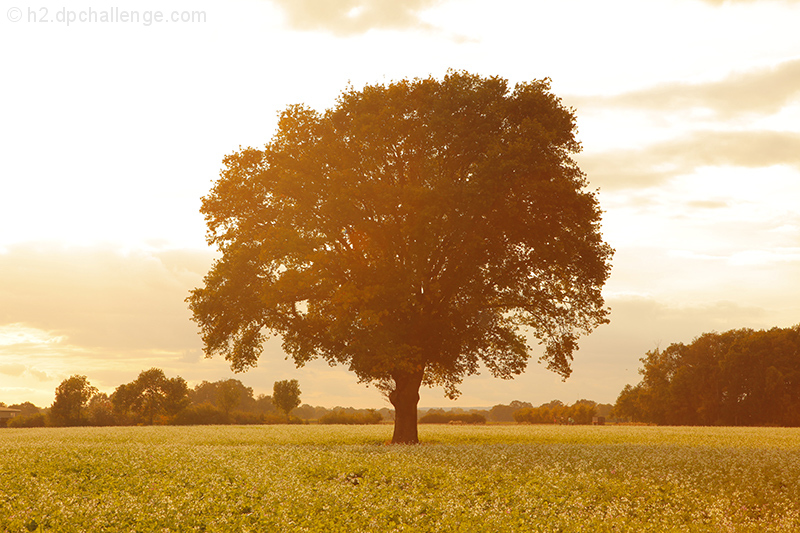 Nineteenseventytree