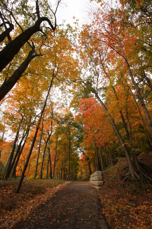 Happy Hollow Park