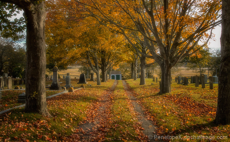 Resting Place