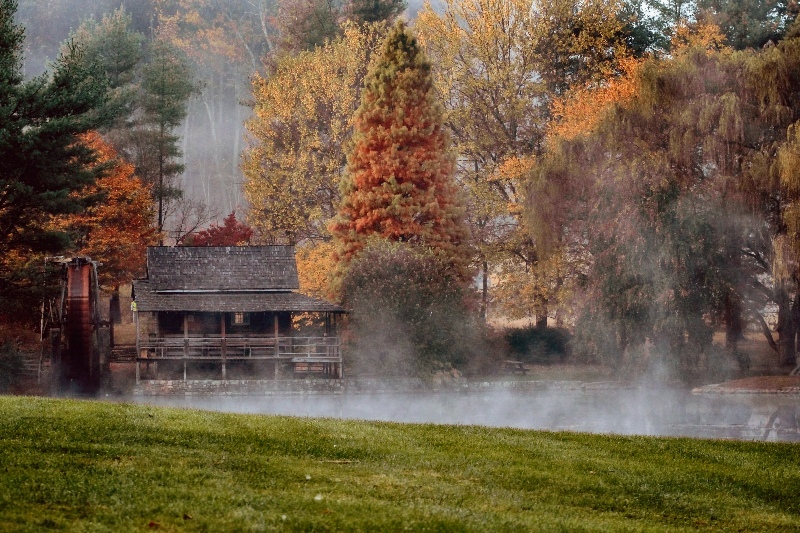 Autumn Mornings