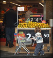 Little-Shopper