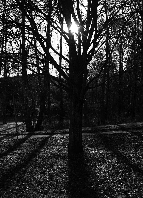 Sunlight shadows