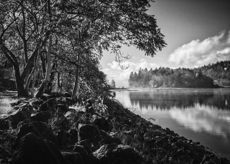 the willamette river