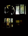In the through the Out Window
