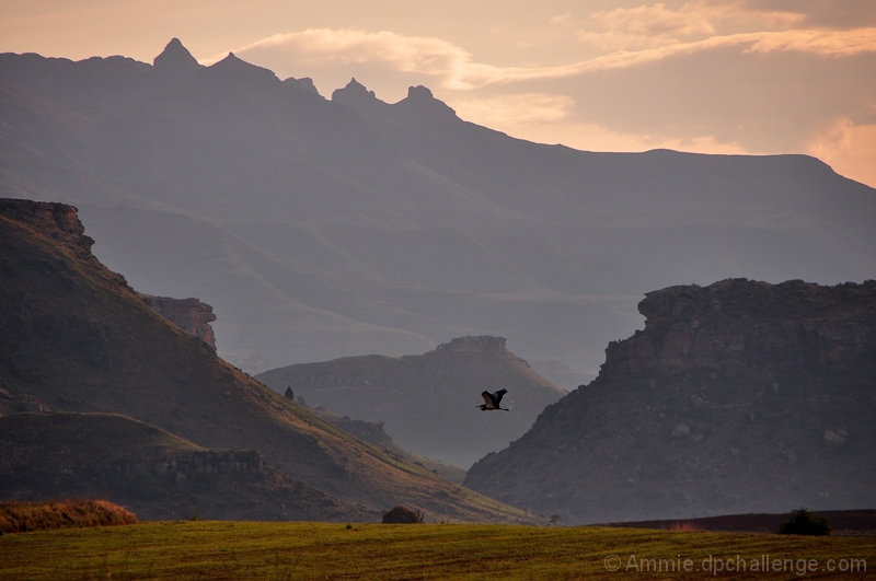 A view of themountains