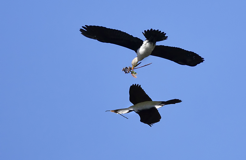 Who taught you to fly?