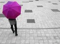 Color Pop Umbrella
