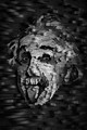 E = mc&sup2;