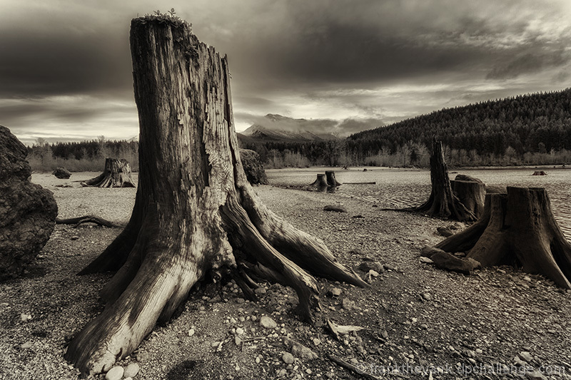 Rattlesnake Lake