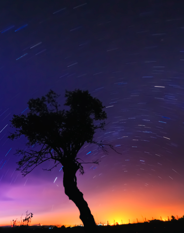 Starry Skies & City Lights