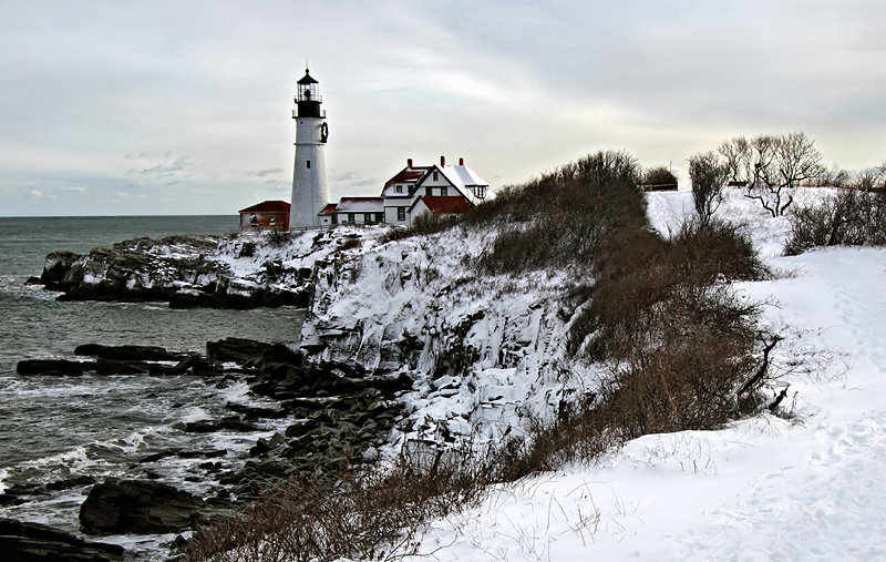 Winter's Light