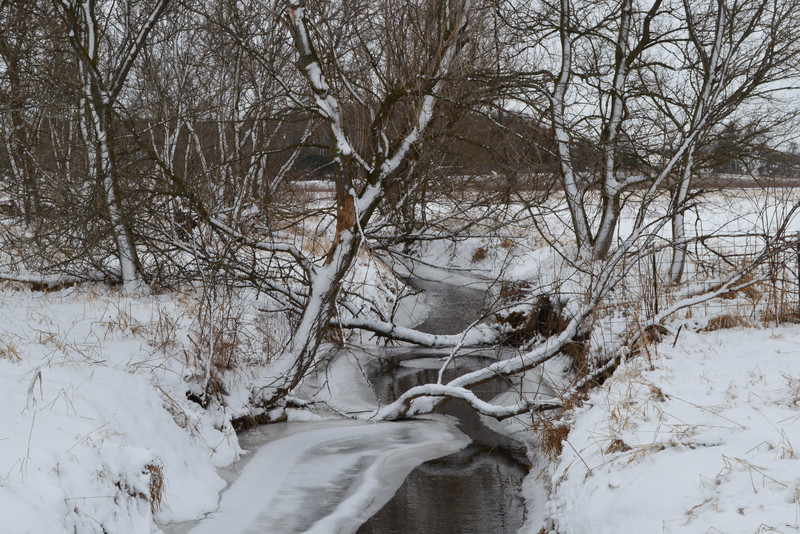 The Last Winter for the Year of 2012