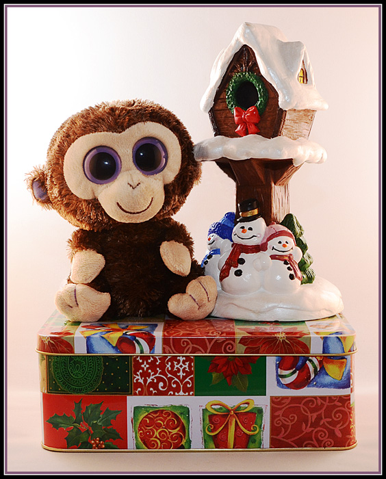 and a Monkey on a Tin Box!