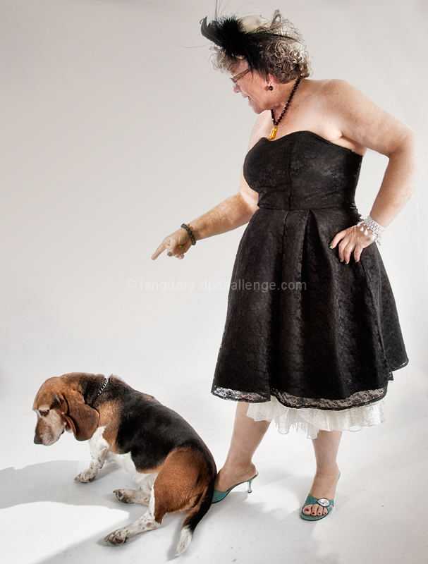 you ain't nothin' but a hound dog
