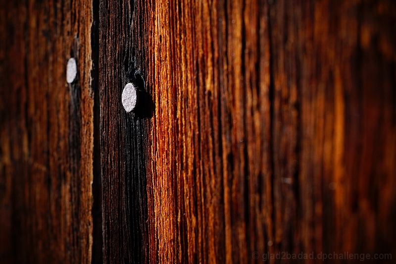 Nailhead on Wood