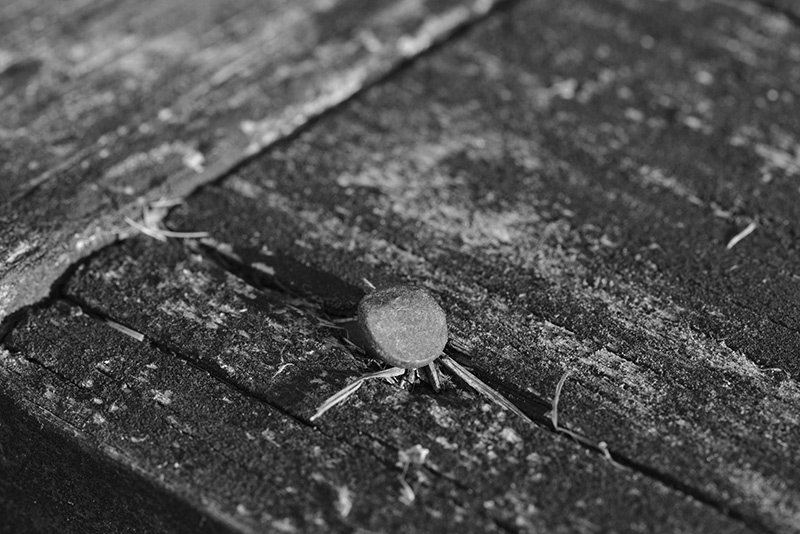 Lines a Circle and Grit.