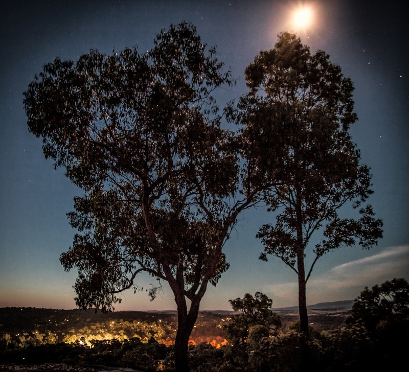 Silent Night