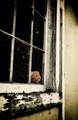 Where do the children play?