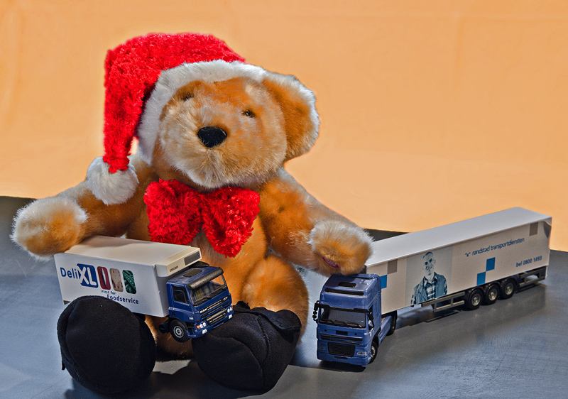 Trucker Bear