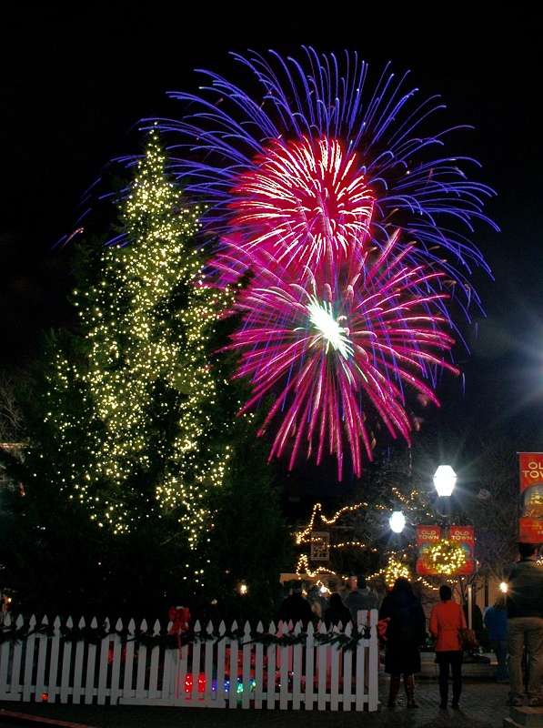 New Year's Day Celebration