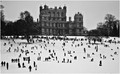 Sledging