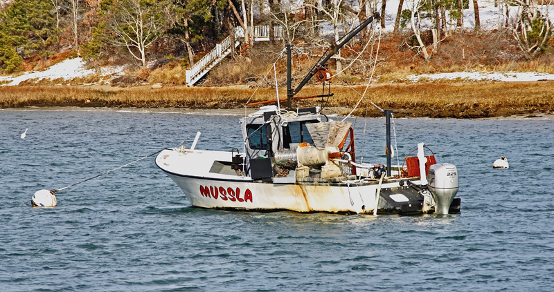 Working boat