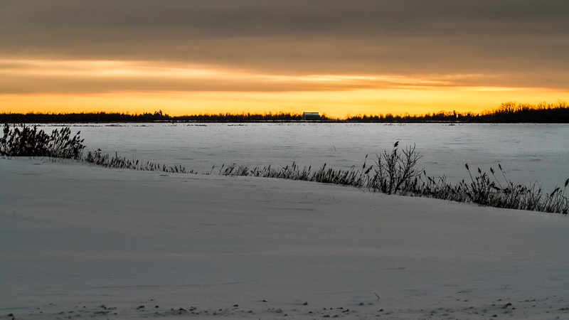 Another Winter Evening