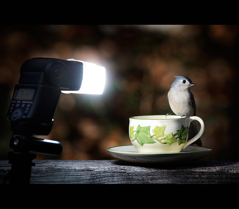 Resolved: I'll finally learn how to use my strobes correctly!