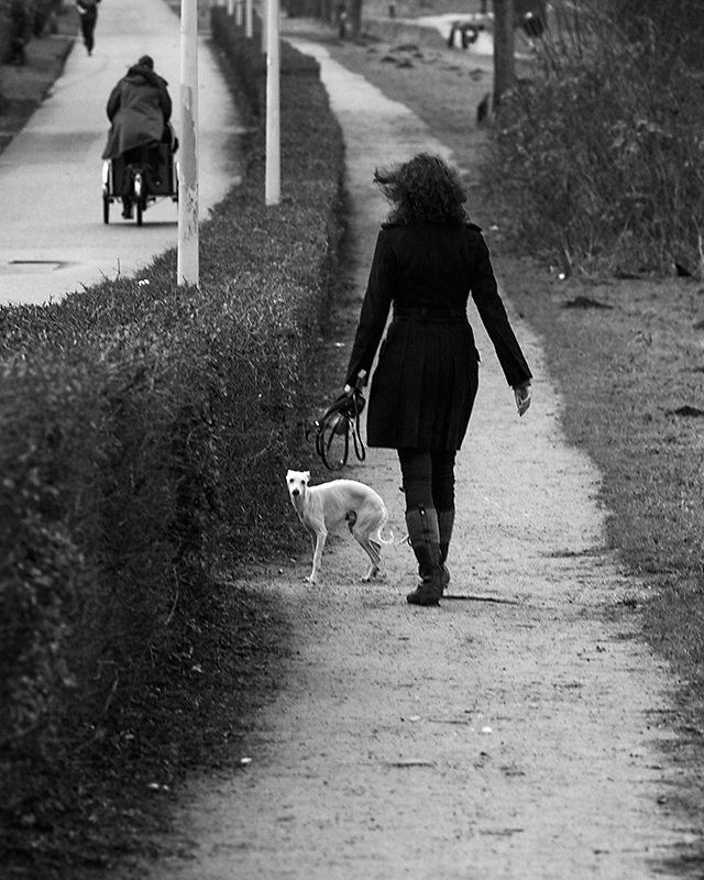 Walking with the dog