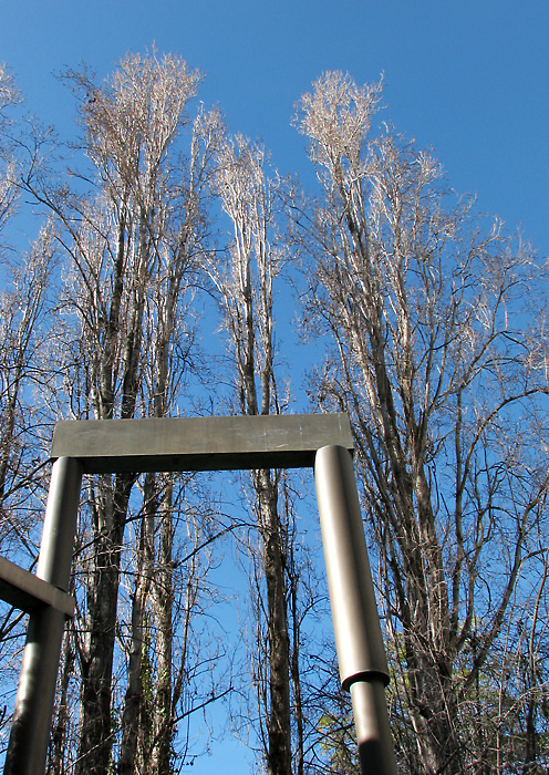 In the Sculpture Garden