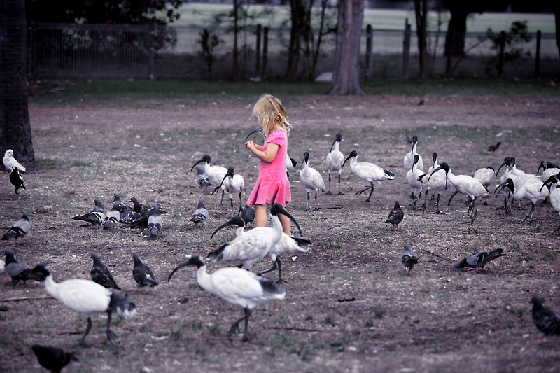 one with the birds