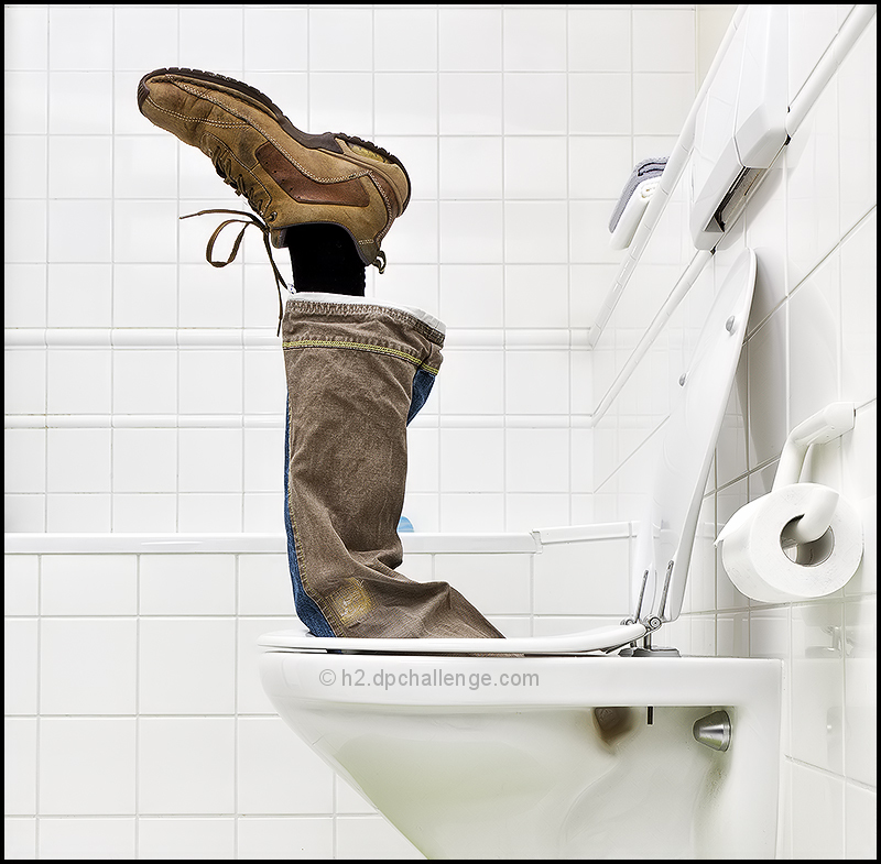 The Diligent Plumber